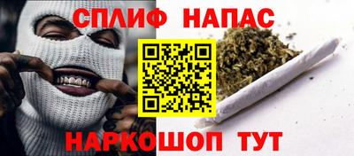 сатива Можга