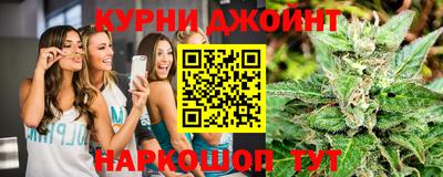 сатива Можга