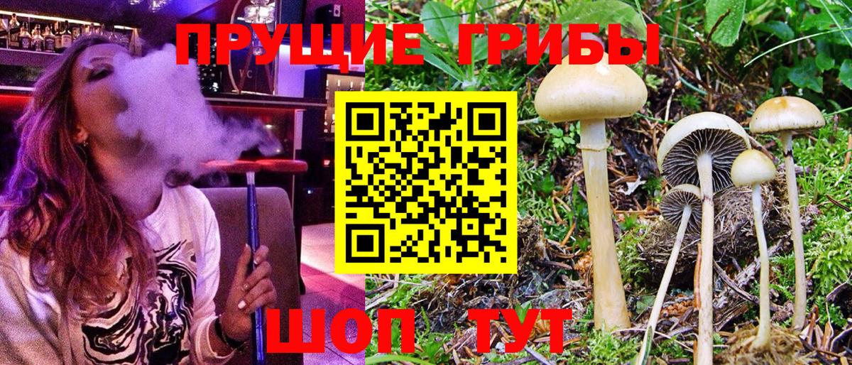 магазин продажи наркотиков  Галлюциногенные грибы Psilocybine cubensis  Вход с VPN  Псилоцибиновые грибы Psilocybe  Бугуруслан 