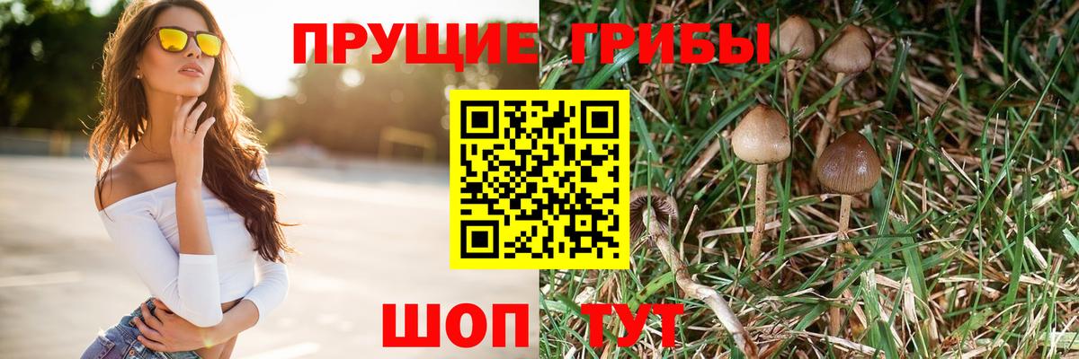 Псилоцибиновые грибы Cubensis Бугуруслан